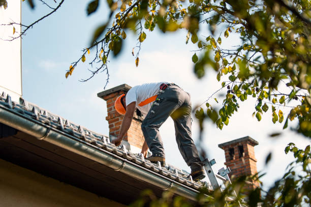 Best Roof Maintenance Services  in St James, MN