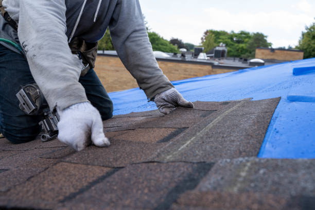 Best Shingle Roofing Installation  in St James, MN